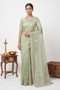 Designer Tissue Sage Green Saree